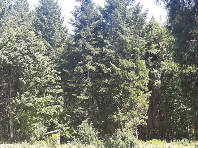 252 MAY CREEK Rd, Days Creek, OR 97429