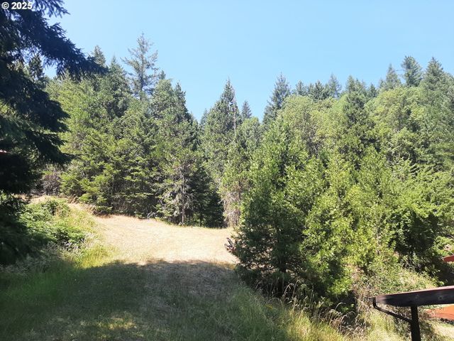 252 MAY CREEK Rd, Days Creek, OR 97429