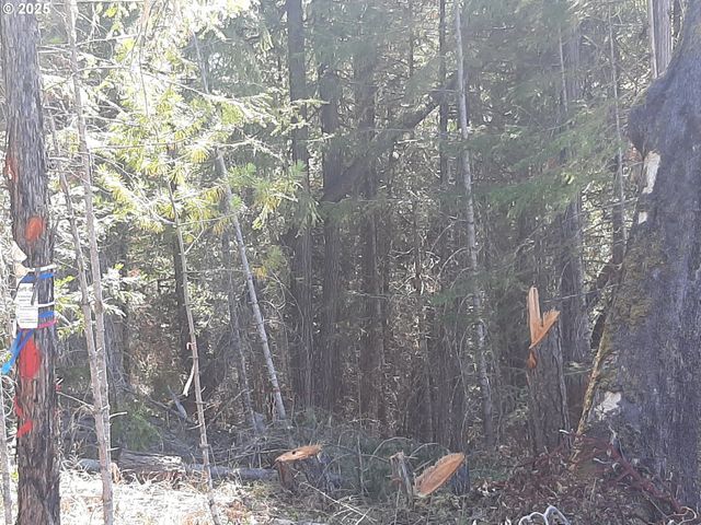 252 MAY CREEK Rd, Days Creek, OR 97429