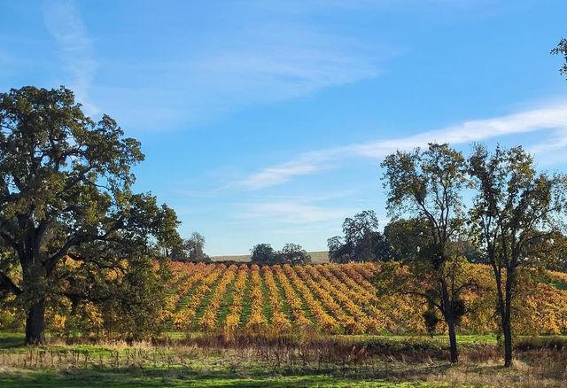 10120 Shenandoah Rd, Plymouth, CA 95669