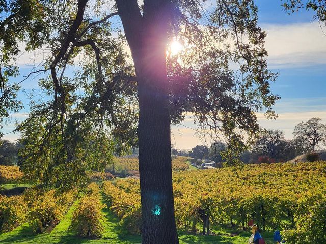 10120 Shenandoah Rd, Plymouth, CA 95669