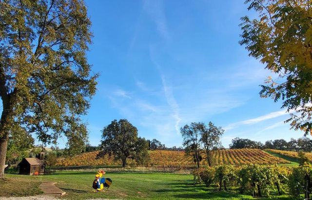 10120 Shenandoah Rd, Plymouth, CA 95669