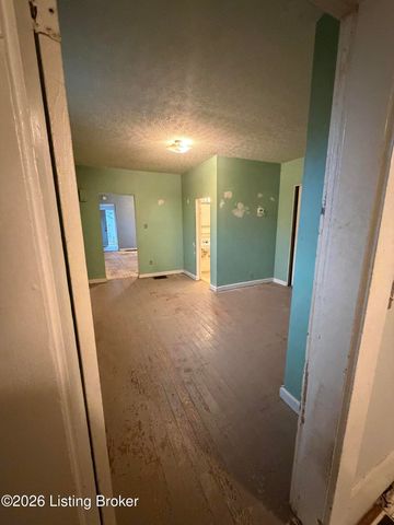 1120 Lydia St, Louisville, KY 40217