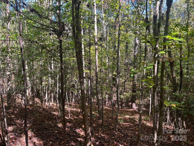 5 AC Ernandez Road, Richburg, SC 29729