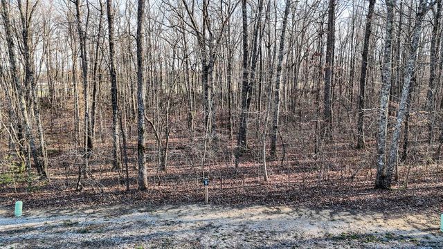 165 Sunset Bluff Way, Monteagle, TN 37356