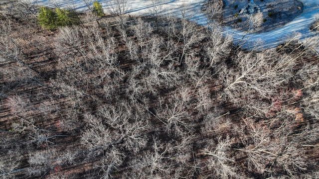 165 Sunset Bluff Way, Monteagle, TN 37356