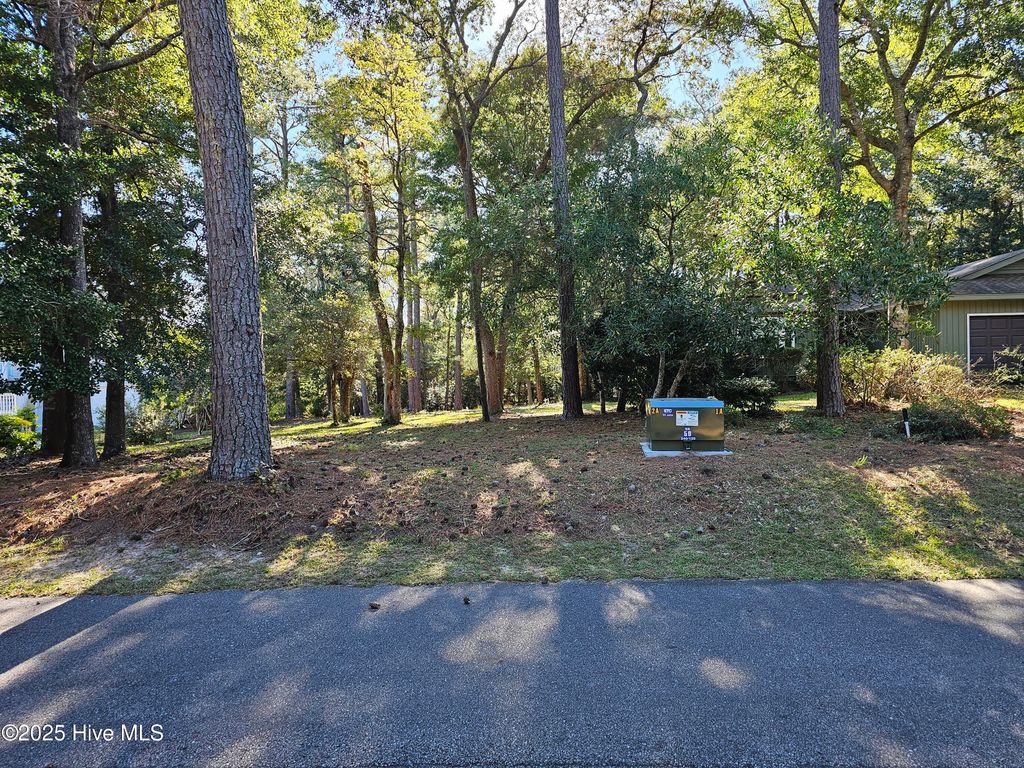 3239 Marsh View Drive, Supply, NC 28462