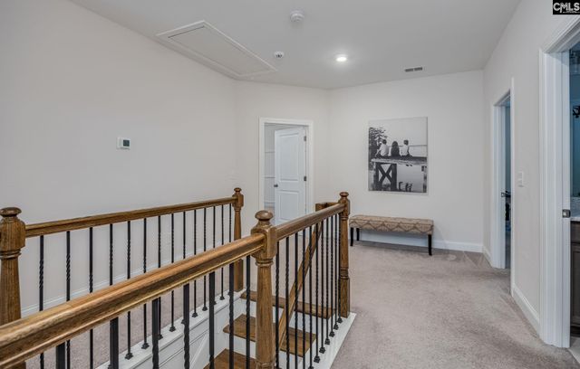 216 White Torpedo Way, Lexington, SC 29072