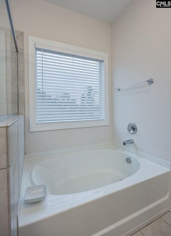 216 White Torpedo Way, Lexington, SC 29072