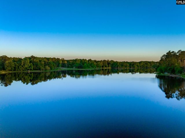 216 White Torpedo Way, Lexington, SC 29072