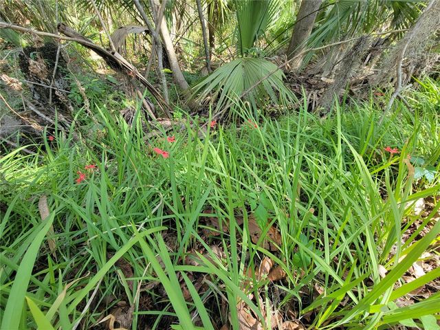 1600 SW 42ND STREET, Ocala, FL 34471