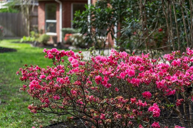 8324 Emerald Meadow Lane, Humble, TX 77396