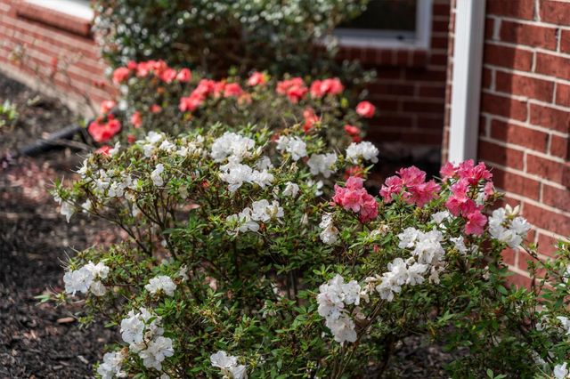 8324 Emerald Meadow Lane, Humble, TX 77396