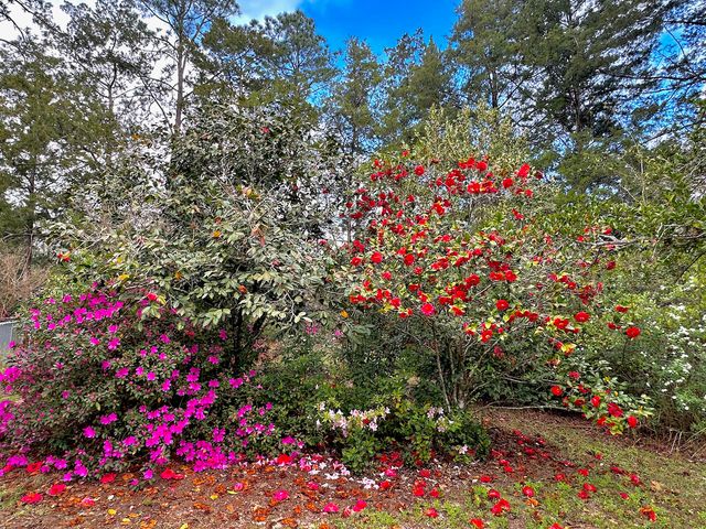 177 Twin Lakes Drive, Defuniak Springs, FL 32433