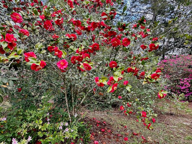 177 Twin Lakes Drive, Defuniak Springs, FL 32433