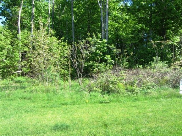 8655 Heron Lane 32, Watervliet Twp, MI 49098