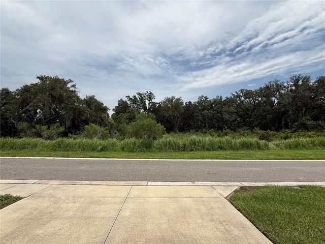 5072 AVALON PARK BOULEVARD, Wesley Chapel, FL 33545