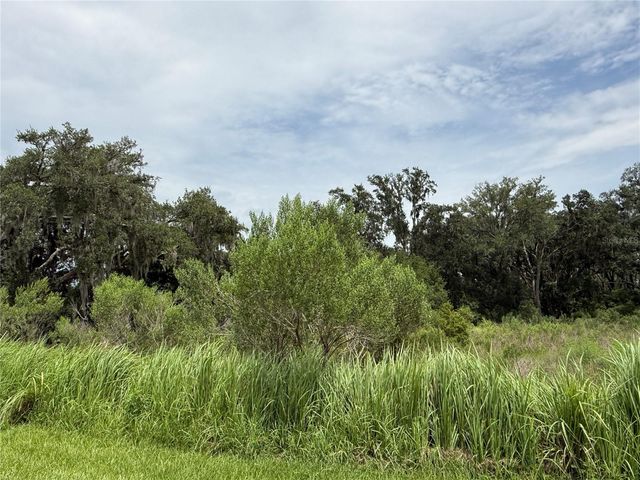 5072 AVALON PARK BOULEVARD, Wesley Chapel, FL 33545