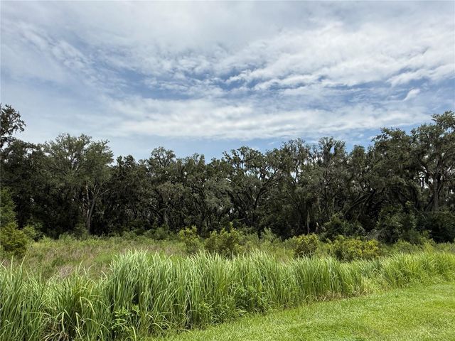 5072 AVALON PARK BOULEVARD, Wesley Chapel, FL 33545
