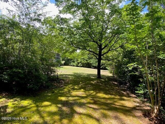917 Rolling Hills Cove, Wilmington, NC 28409