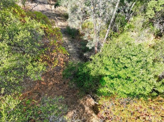 3279 Quail Run Road, Mariposa, CA 95338