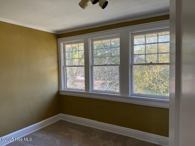4225 E Church Street, Farmville, NC 27828