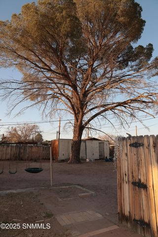 911 Luna Street, Las Cruces, NM 88001