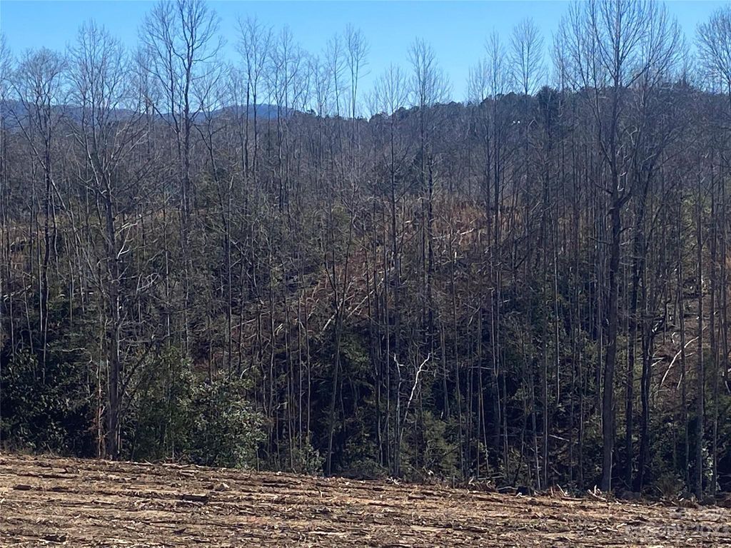 0 Pinnacle Church Road Lot 9, Morganton, NC 28655