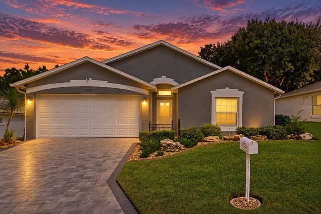 239 CHINA BERRY CIRCLE, Davenport, FL 33837