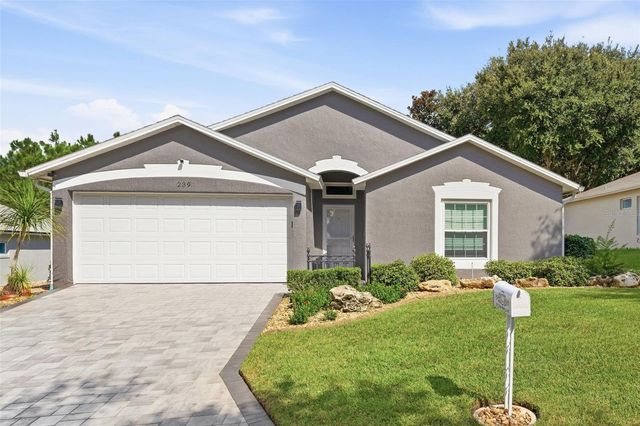 239 CHINA BERRY CIRCLE, Davenport, FL 33837