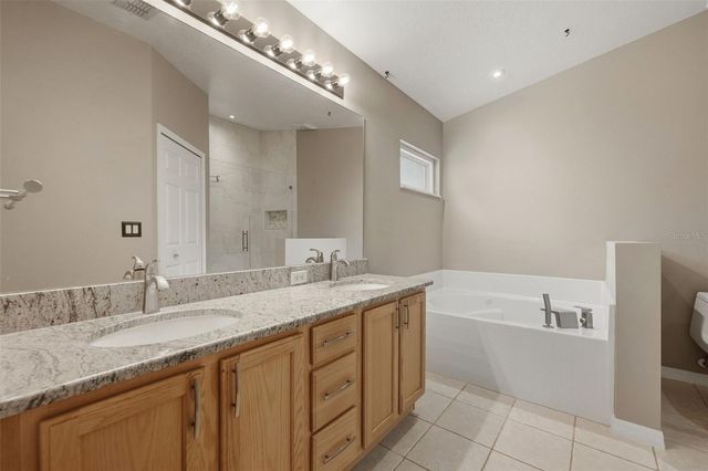239 CHINA BERRY CIRCLE, Davenport, FL 33837