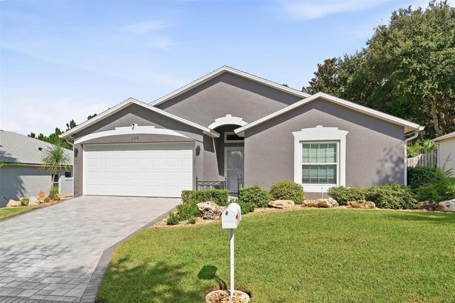 239 CHINA BERRY CIRCLE, Davenport, FL 33837
