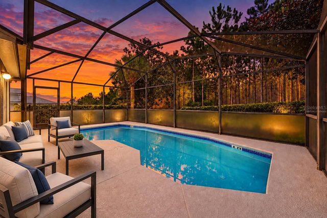 239 CHINA BERRY CIRCLE, Davenport, FL 33837
