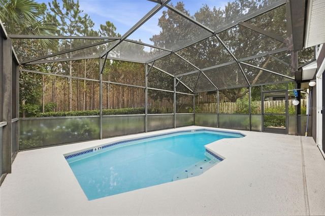 239 CHINA BERRY CIRCLE, Davenport, FL 33837