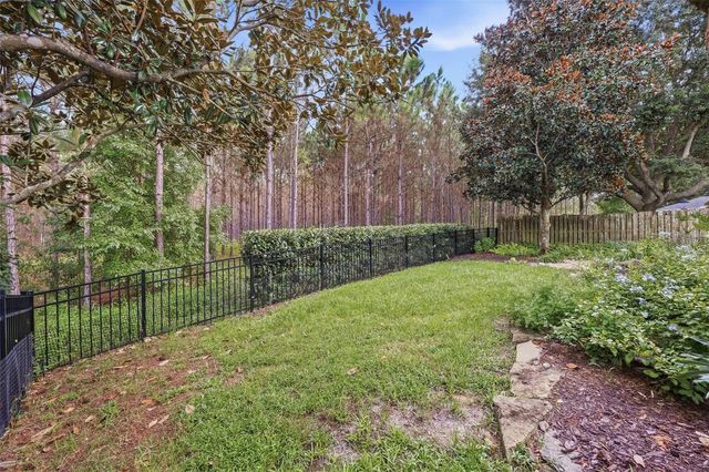 239 CHINA BERRY CIRCLE, Davenport, FL 33837