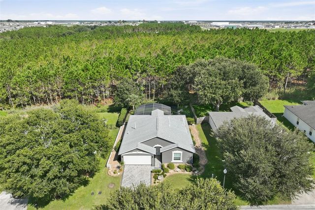 239 CHINA BERRY CIRCLE, Davenport, FL 33837