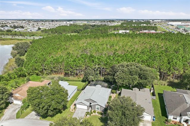 239 CHINA BERRY CIRCLE, Davenport, FL 33837