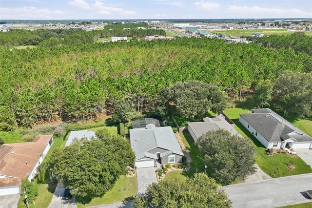 239 CHINA BERRY CIRCLE, Davenport, FL 33837