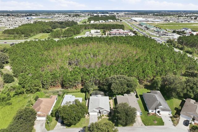 239 CHINA BERRY CIRCLE, Davenport, FL 33837