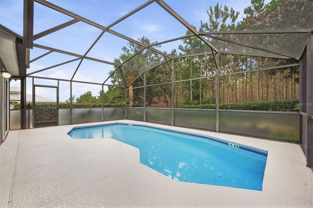 239 CHINA BERRY CIRCLE, Davenport, FL 33837