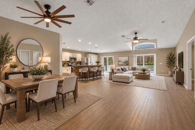 239 CHINA BERRY CIRCLE, Davenport, FL 33837