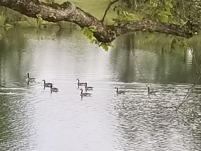 634 Beckett Cove, Hernando, MS 38632