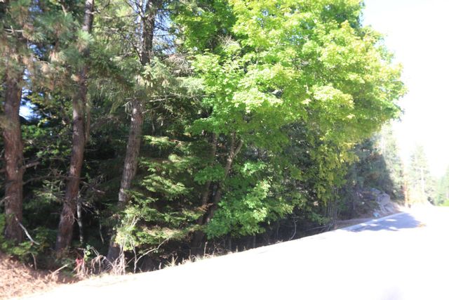7289 Fertile Valley Rd, Newport, WA 99156