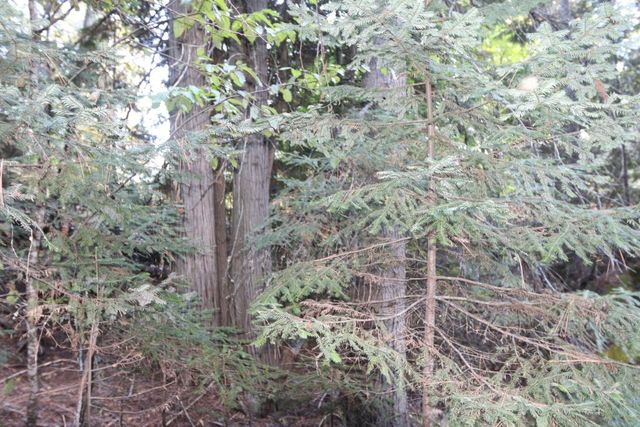 7289 Fertile Valley Rd, Newport, WA 99156