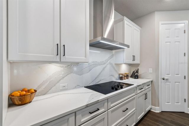 4911 LAKESHORE OAKS COURT, Tampa, FL 33624