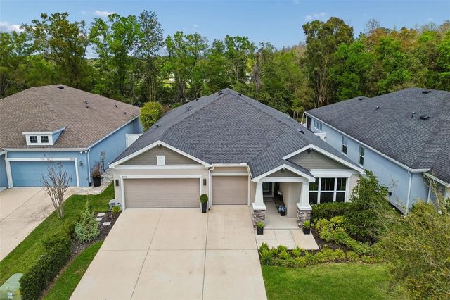 4911 LAKESHORE OAKS COURT, Tampa, FL 33624