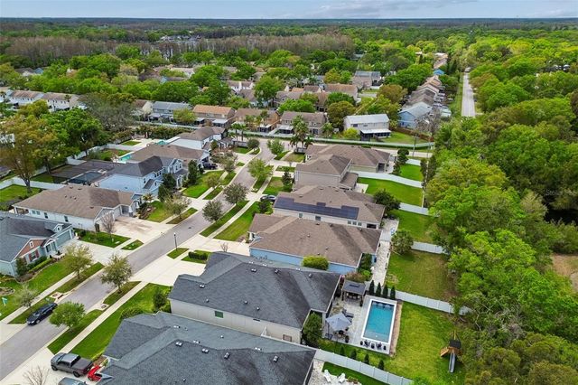 4911 LAKESHORE OAKS COURT, Tampa, FL 33624