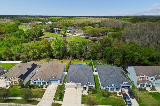 4911 LAKESHORE OAKS COURT, Tampa, FL 33624