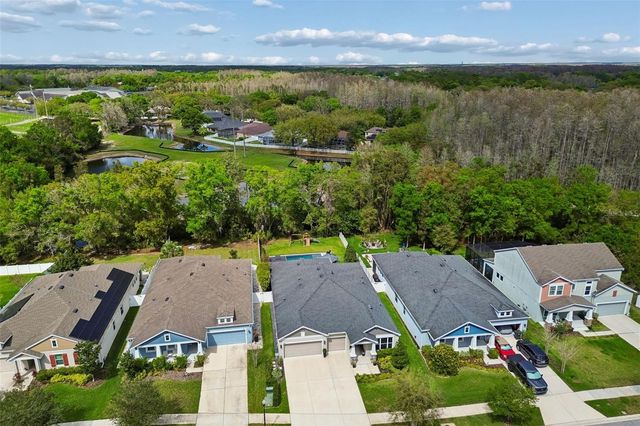 4911 LAKESHORE OAKS COURT, Tampa, FL 33624