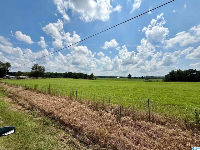 76 COUNTY HIGHWAY 10, Blountsville, AL 35031